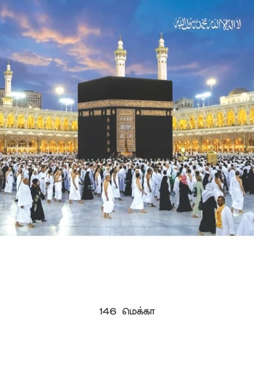 10 x 15 Deluxe Real Art - Design 146